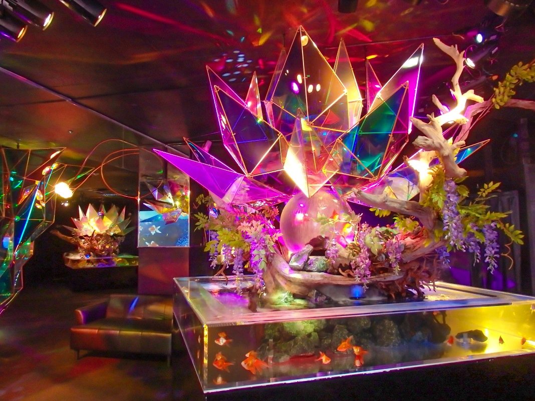 🐠 나라 금붕어 박물관 (나라 킹교 뮤지엄) 이미지 3